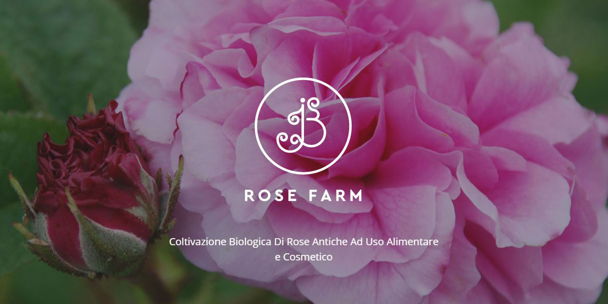 JB Rose Farm  Rose Antiche Ad Uso Alimentare e Cosmetico